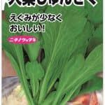 大葉しゅんぎく