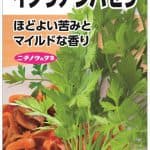 イタリアンパセリー(ﾊｰﾌﾞ)