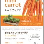 K&Gミニキャロット