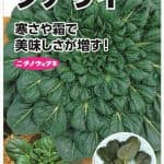 タアサイ