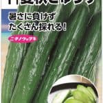 F1夏秋きゅうり