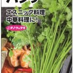 パクチー(香草･ｺﾘｱﾝﾀﾞｰ)