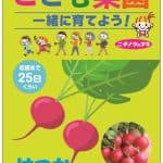 こども菜園　はつかだいこん