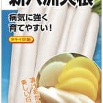 ﾀｷｲ交配 新八洲大根