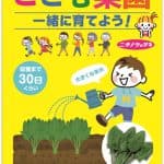 こども菜園ほうれん草