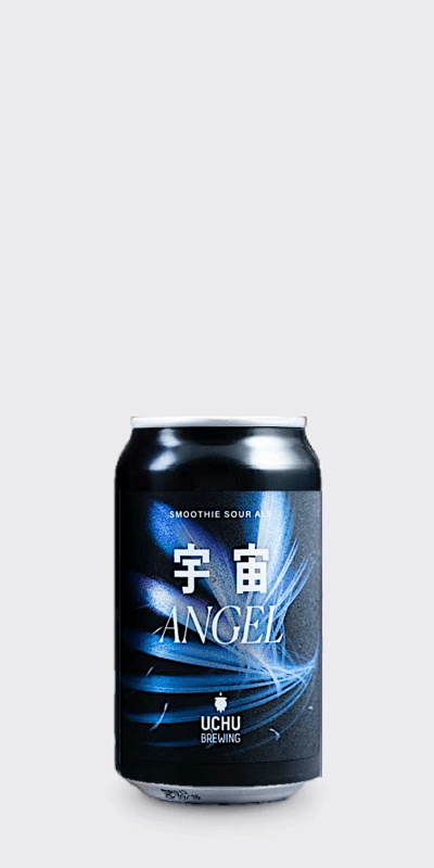 うちゅうブルーイング 宇宙ANGEL-goodbeer | 1本から選べる、クラフトビールショップ