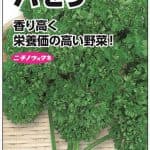 パセリ