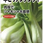 早どりチンゲンサイ(平成5号)