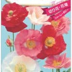ひなげし