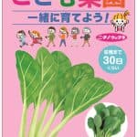 こども菜園 こまつ菜