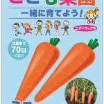 こども菜園 ミニにんじん