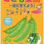 こども菜園 スナップえんどう