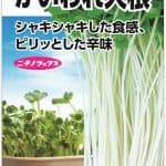 かいわれ大根