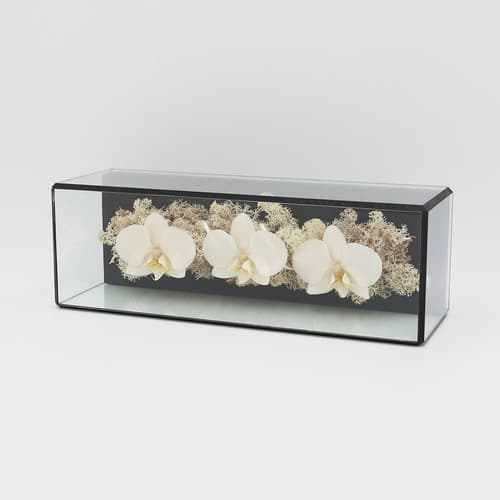 【注文商品】GRACE COLLECTION(L) | iTTO GINZA本店